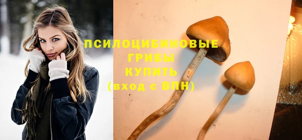 PSILOCYBIN Арсеньев