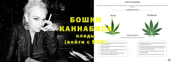 PSILOCYBIN Арсеньев