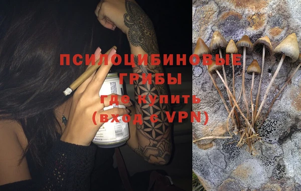 PSILOCYBIN Арсеньев