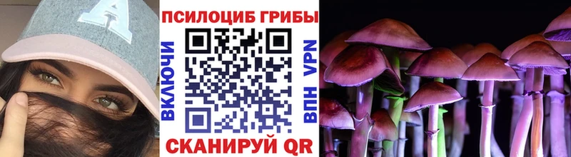 Купить  Нижние Серги  Галлюциногенные грибы Cubensis 